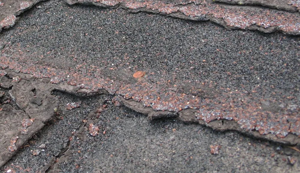 Shingles worn bald where their granules have washed away